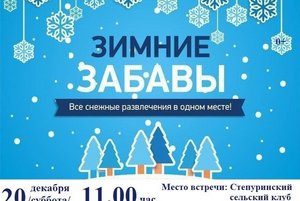 Зимние забавы