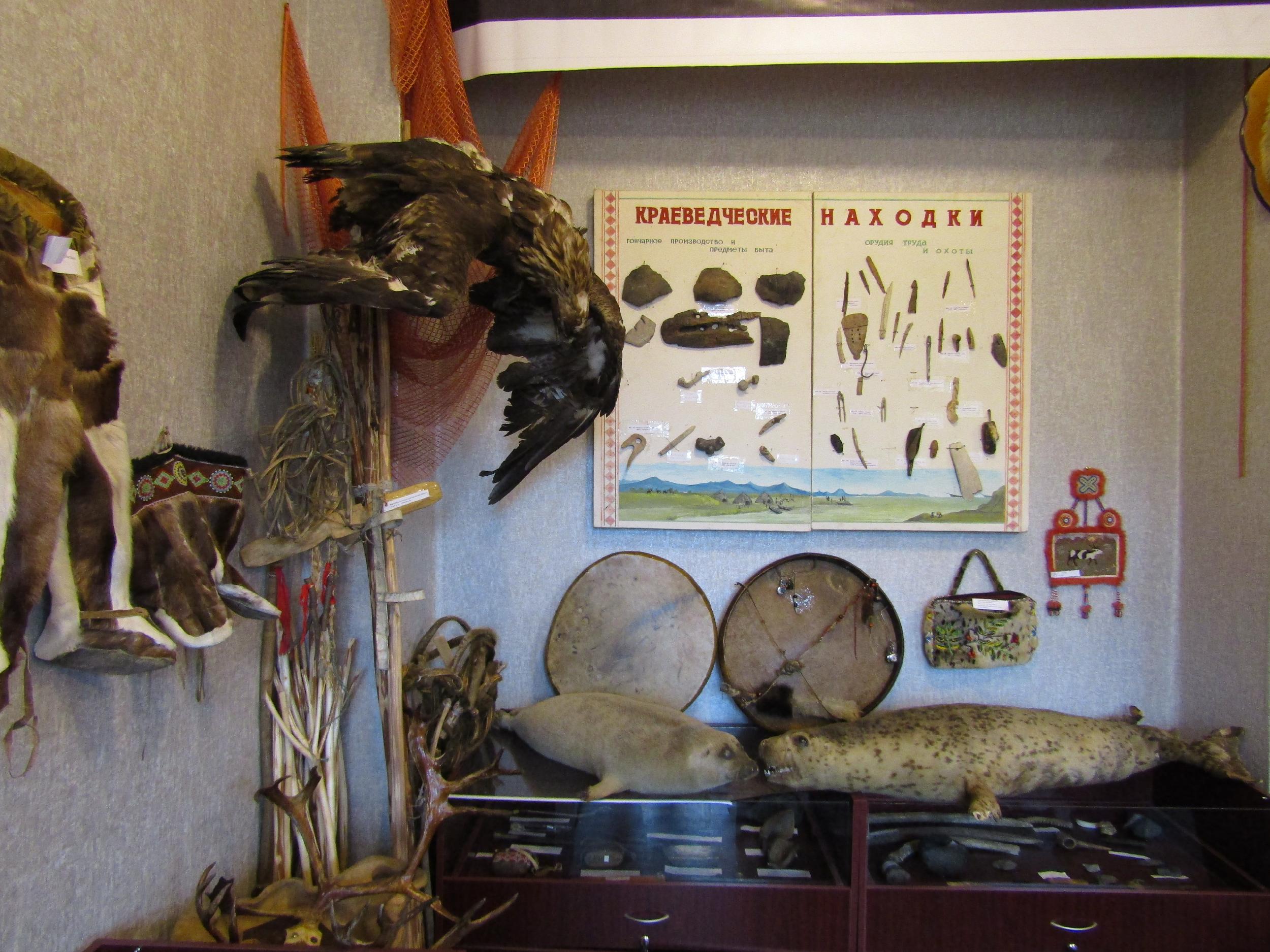 Петропавловск камчатский краеведческий музей