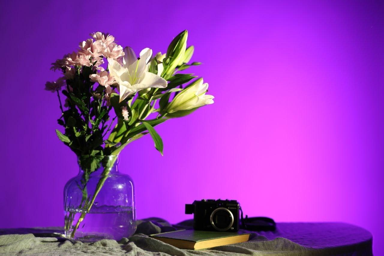 Мастер-класс по фотографии «Магия света и тени»