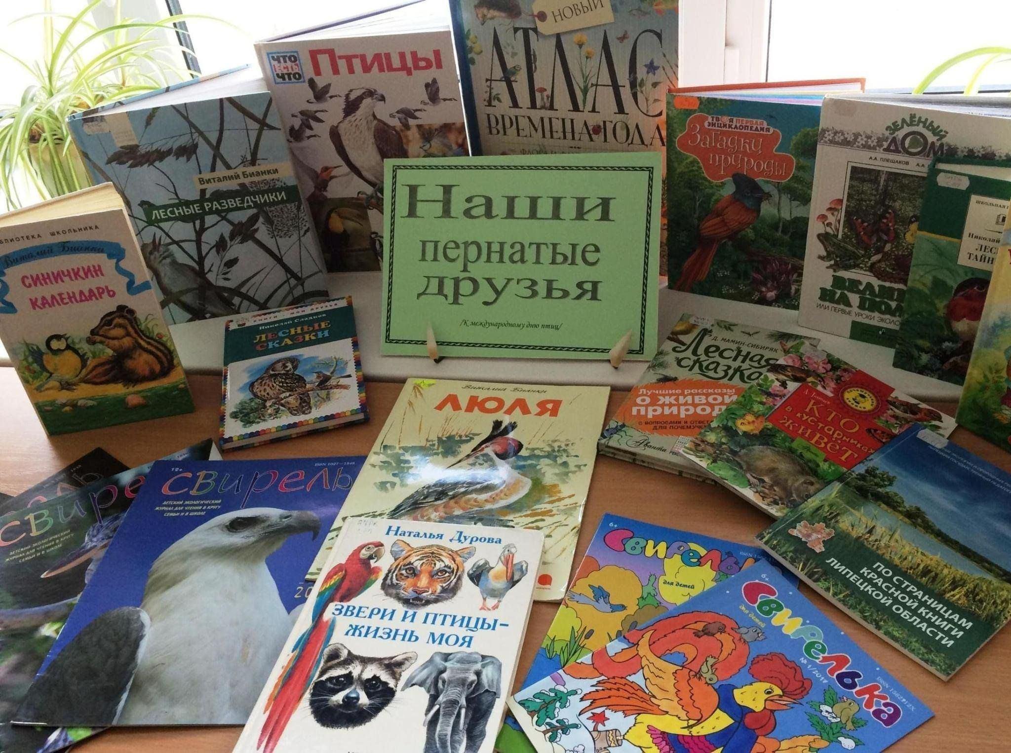 «Пернатые покорители неба»