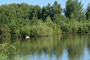 Программа «Чем больше я знаю, тем больше люблю»