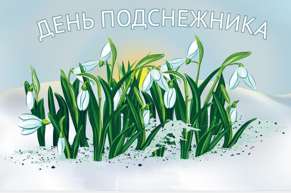 «Ах, эти чудные первоцветы»