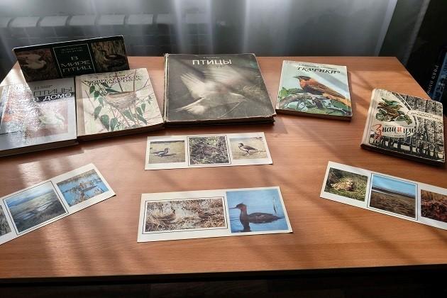 Книжная выставка «Яркое царство пернатых»