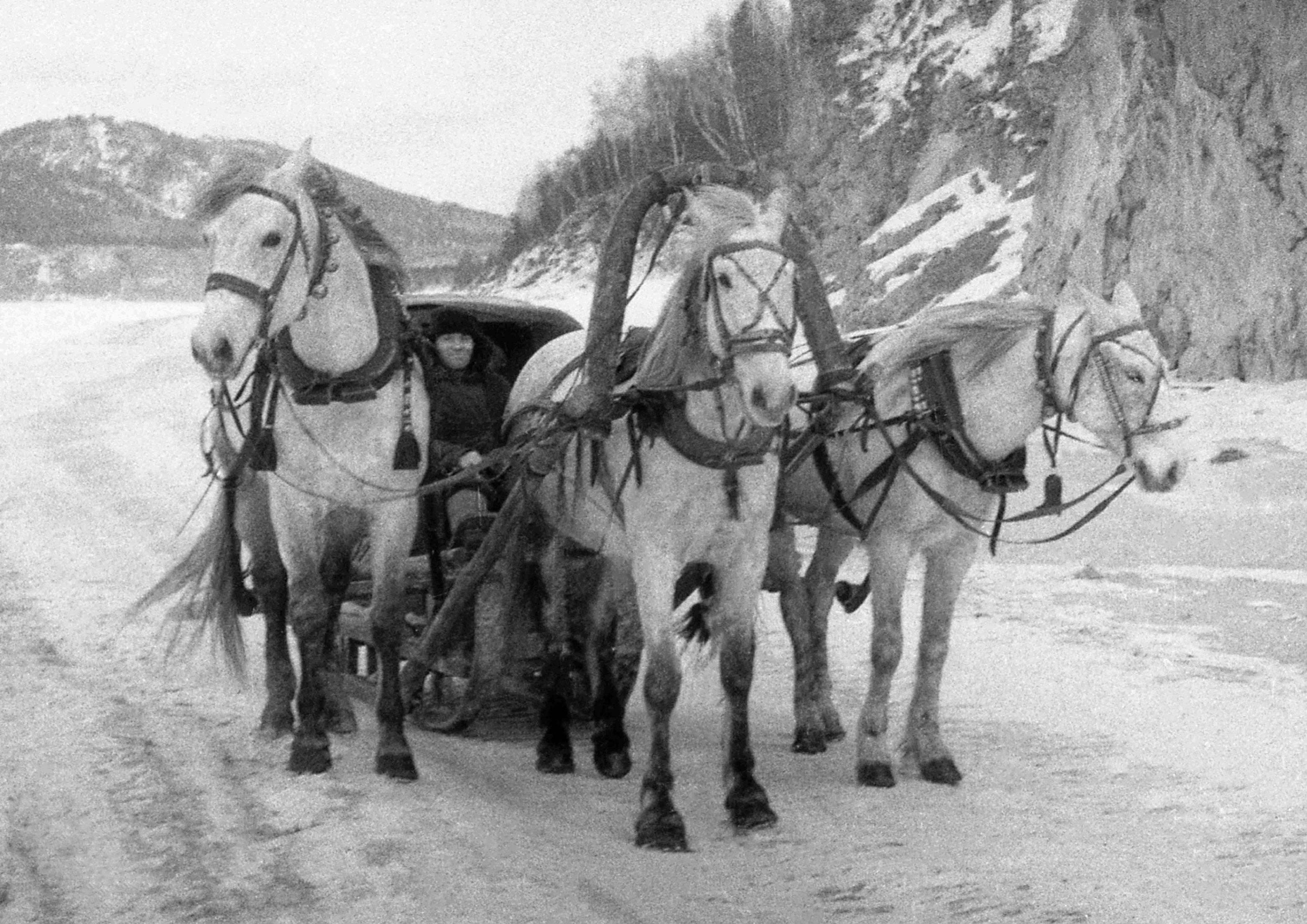 Выставка «История Нового года»