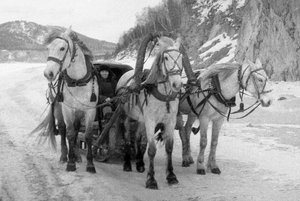 Выставка «История Нового года»