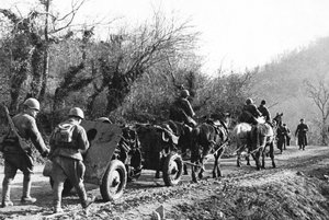 Экспозиция «Туапсинская оборонительная операция»