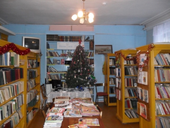 Краснопрофинтерновская библиотека