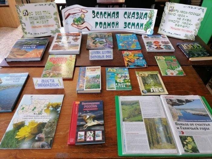 «Экологический ликбез»