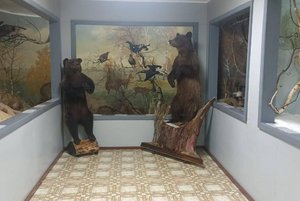 Выставка «Природа Хайбуллинского района»