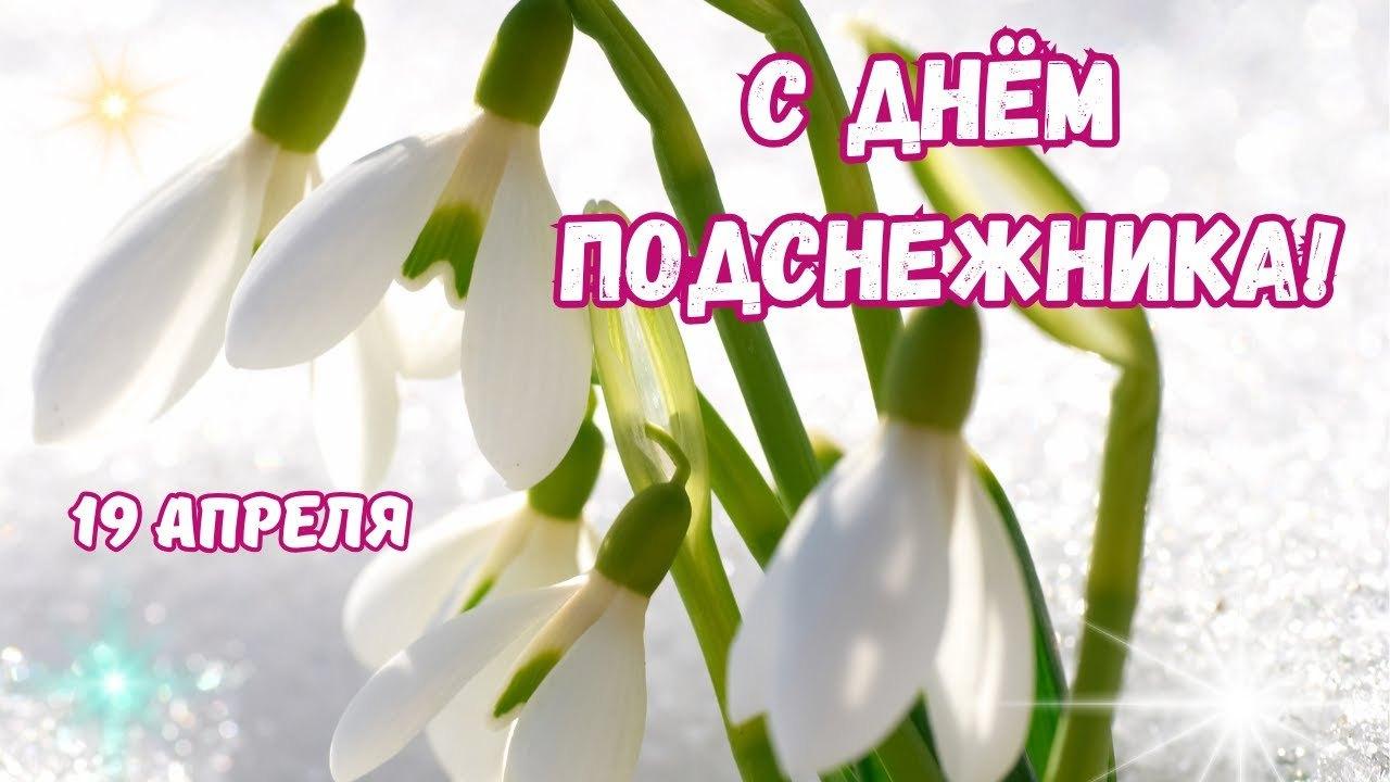 День подснежника