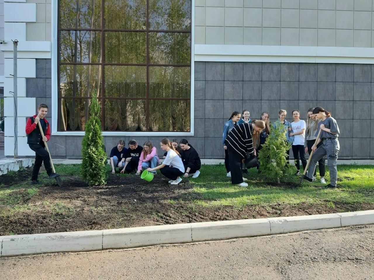 «Посади дерево»