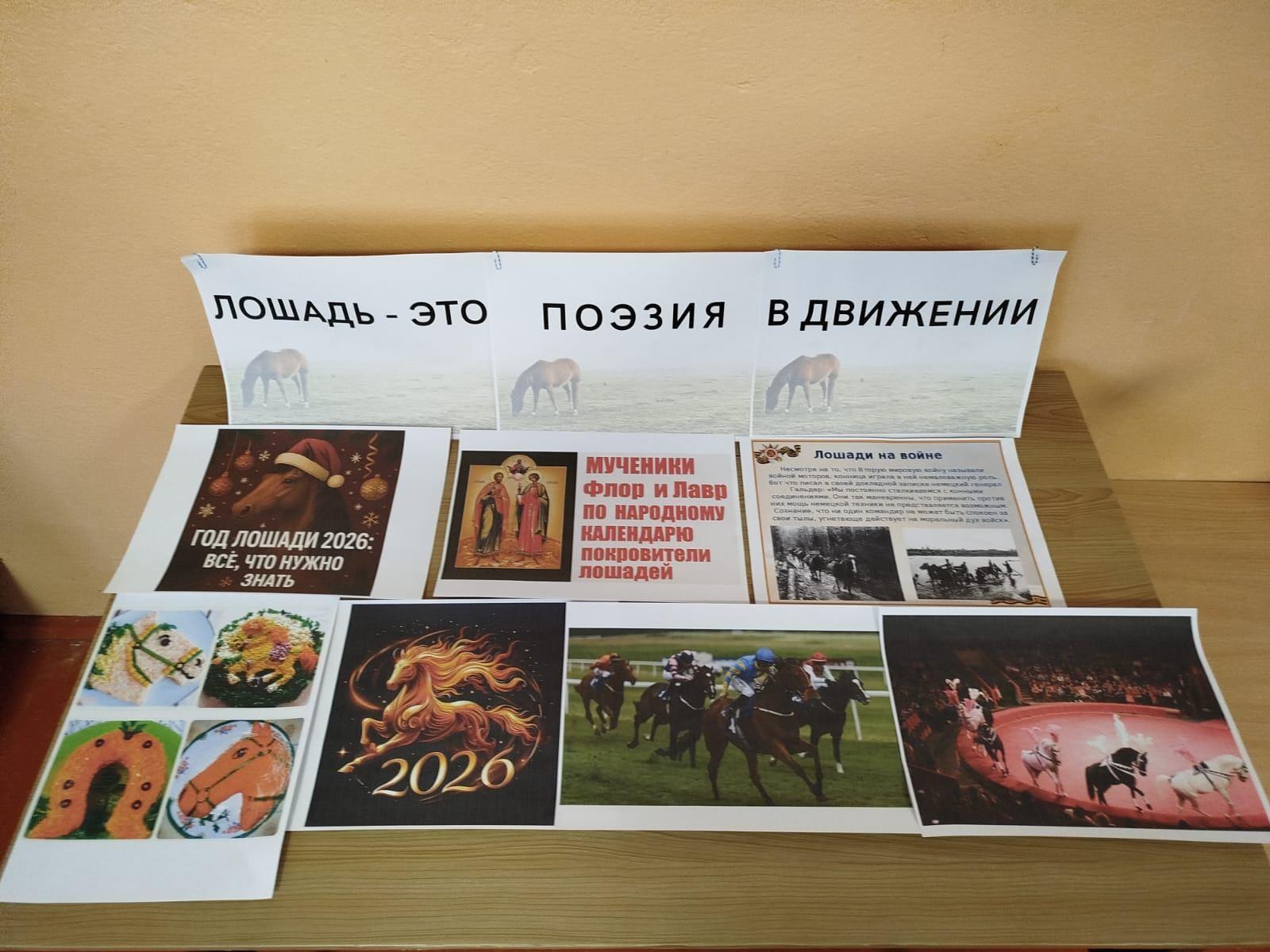 Лошадь – это поэзия в движении