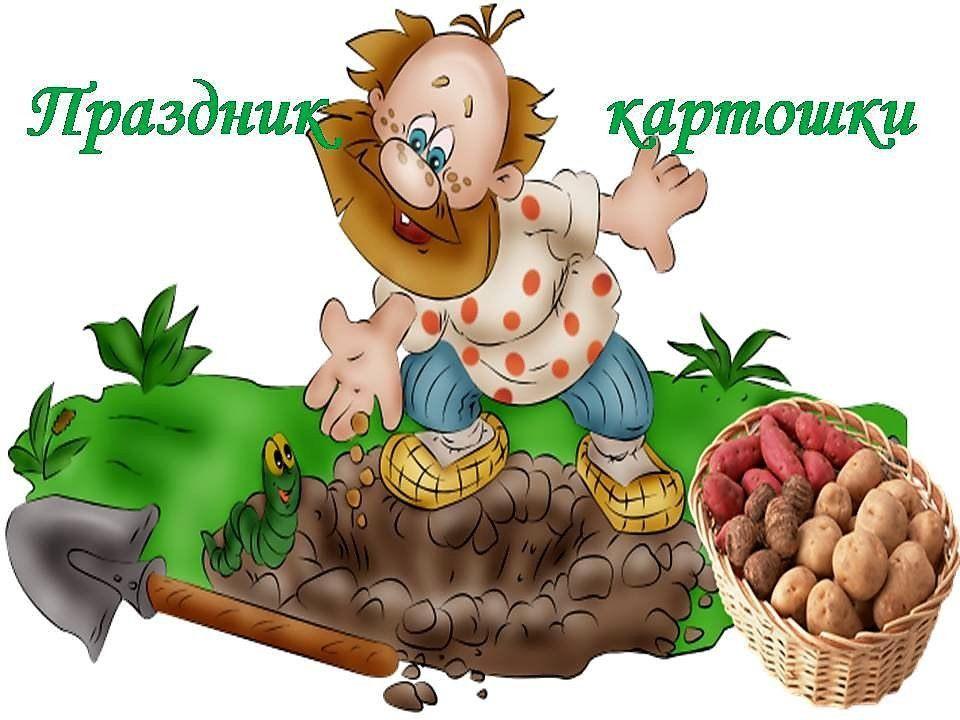 «Праздник картошки
