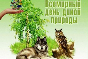Книжно-иллюстративная выставка «С любовью к природе»
