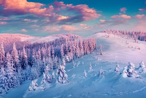 Карнавал зимних историй