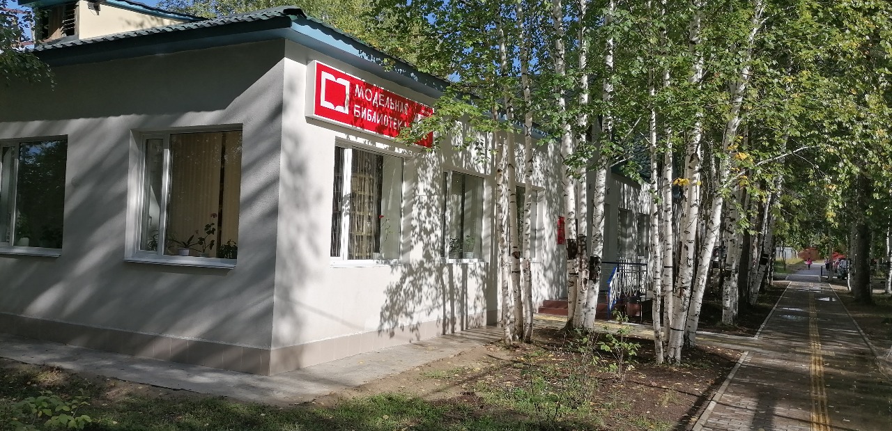 Модельная библиотека поселка городского типа Высокий