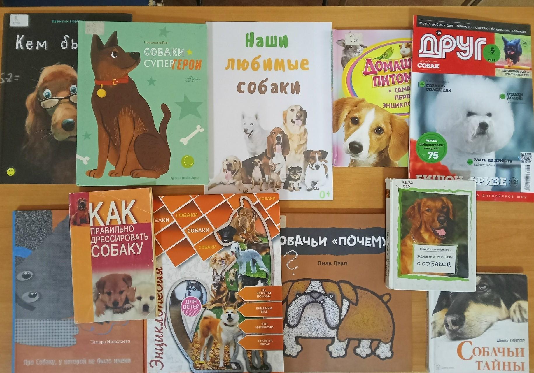 «Такие любимые собаки» книжная выставка