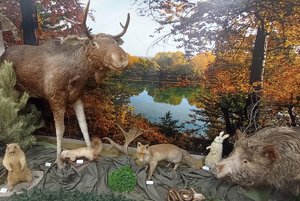 Выставка «Природа Донского края»