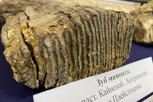 Программа «Назад в прошлое: первобытное неравенство»