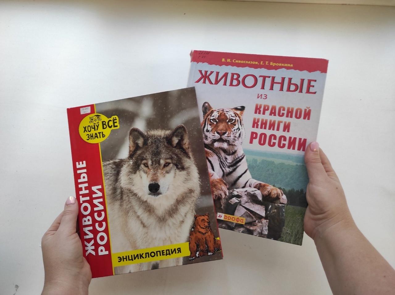 Где Купить Книги Тюмень