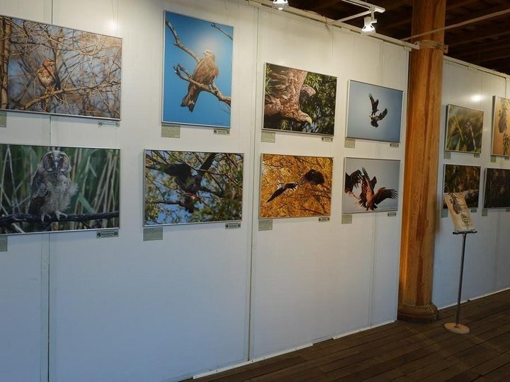 выставка день заповедников и национальных парков. книжная выставка день заповедников. книжная выставка день заповедников. выставка заповедная росси. название выставки ко дню заповедников и национальных парков.