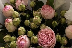 «Подарок маме»