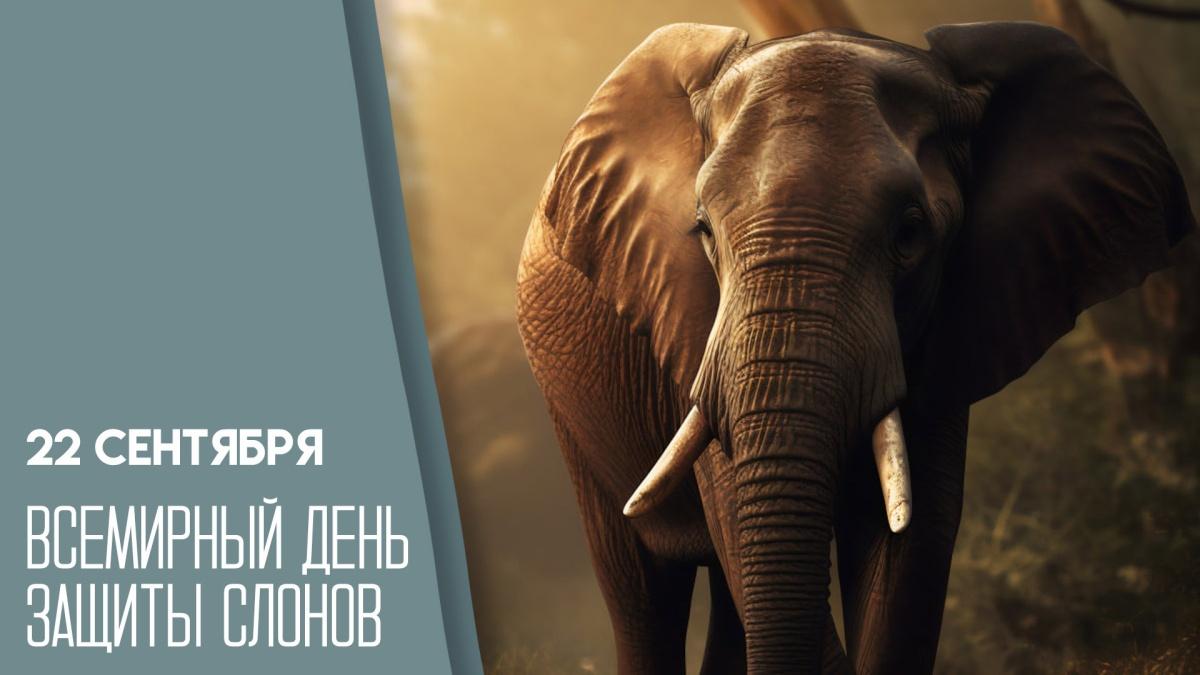 «В мире слонов: день защиты удивительных гигантов»