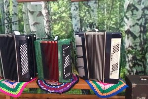 «Играй баян, звени гармонь и удивляй аккордеон!»