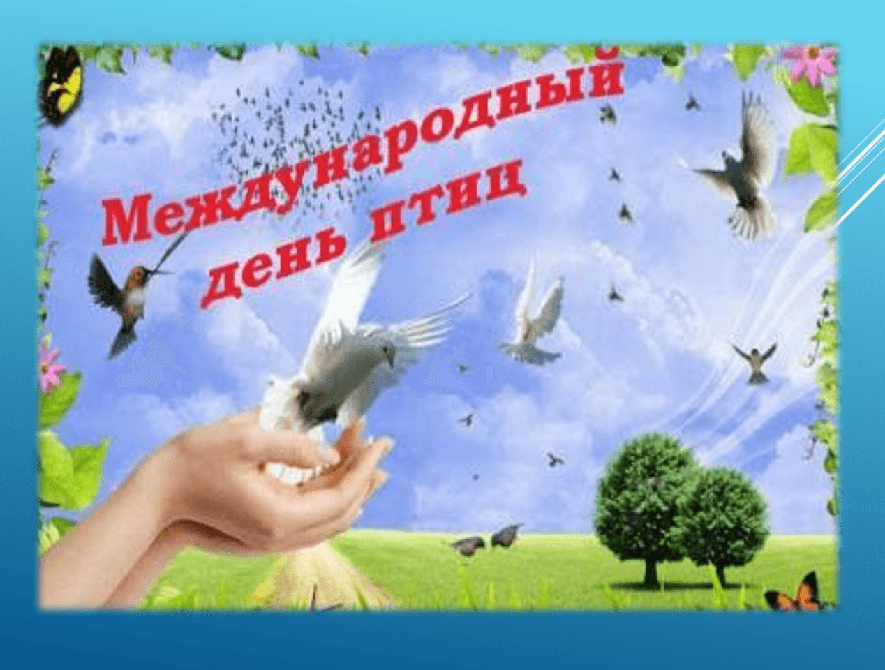 Беседа к Международному дню птиц.