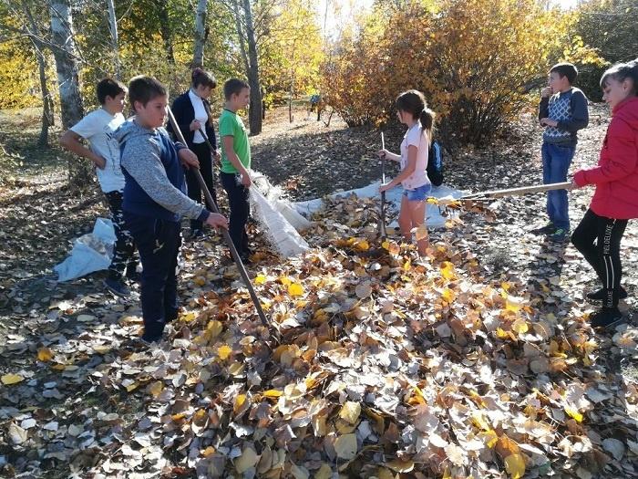 Эко информация «Экологические катастрофы мира»