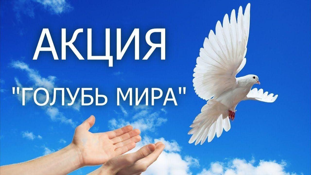 Акция «Голубь мира»