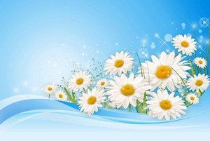 Квиз «Конституция моей страны»