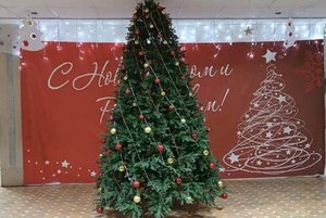 Программа «Новогодний каламбур»