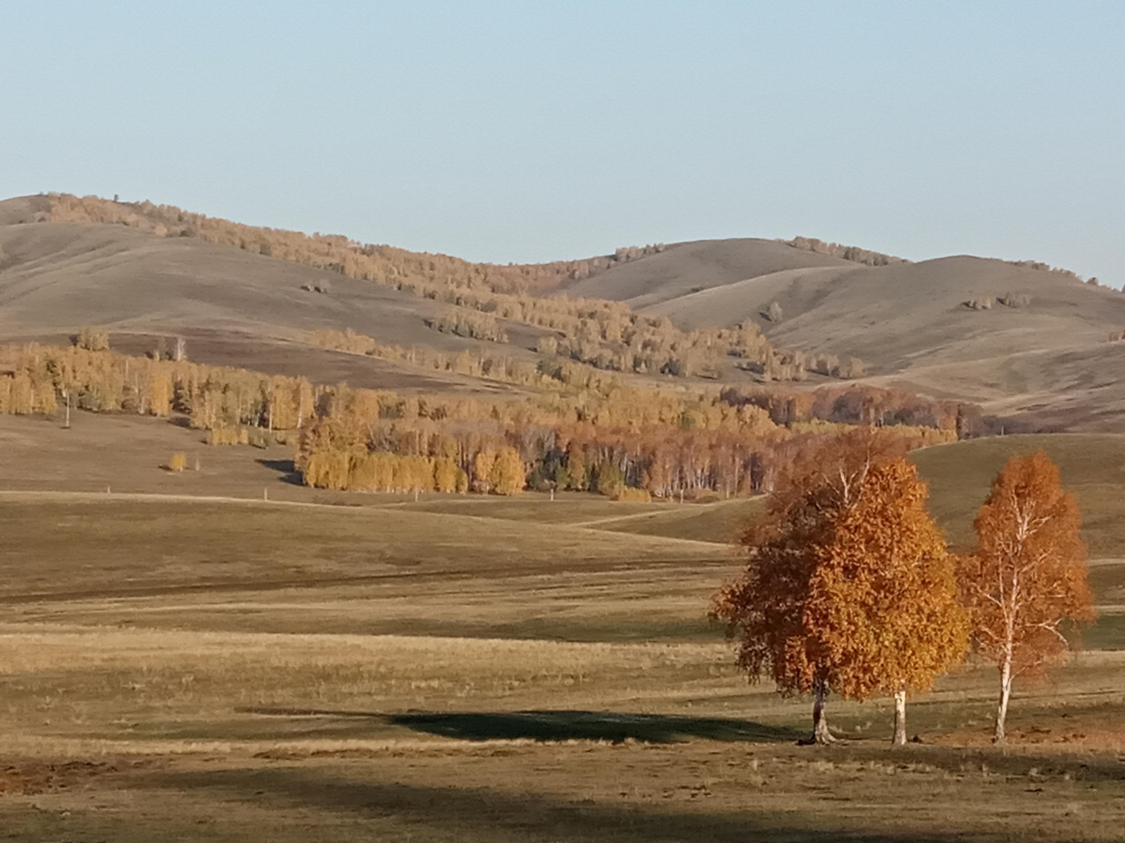 Экскурсия«Осенний лес»