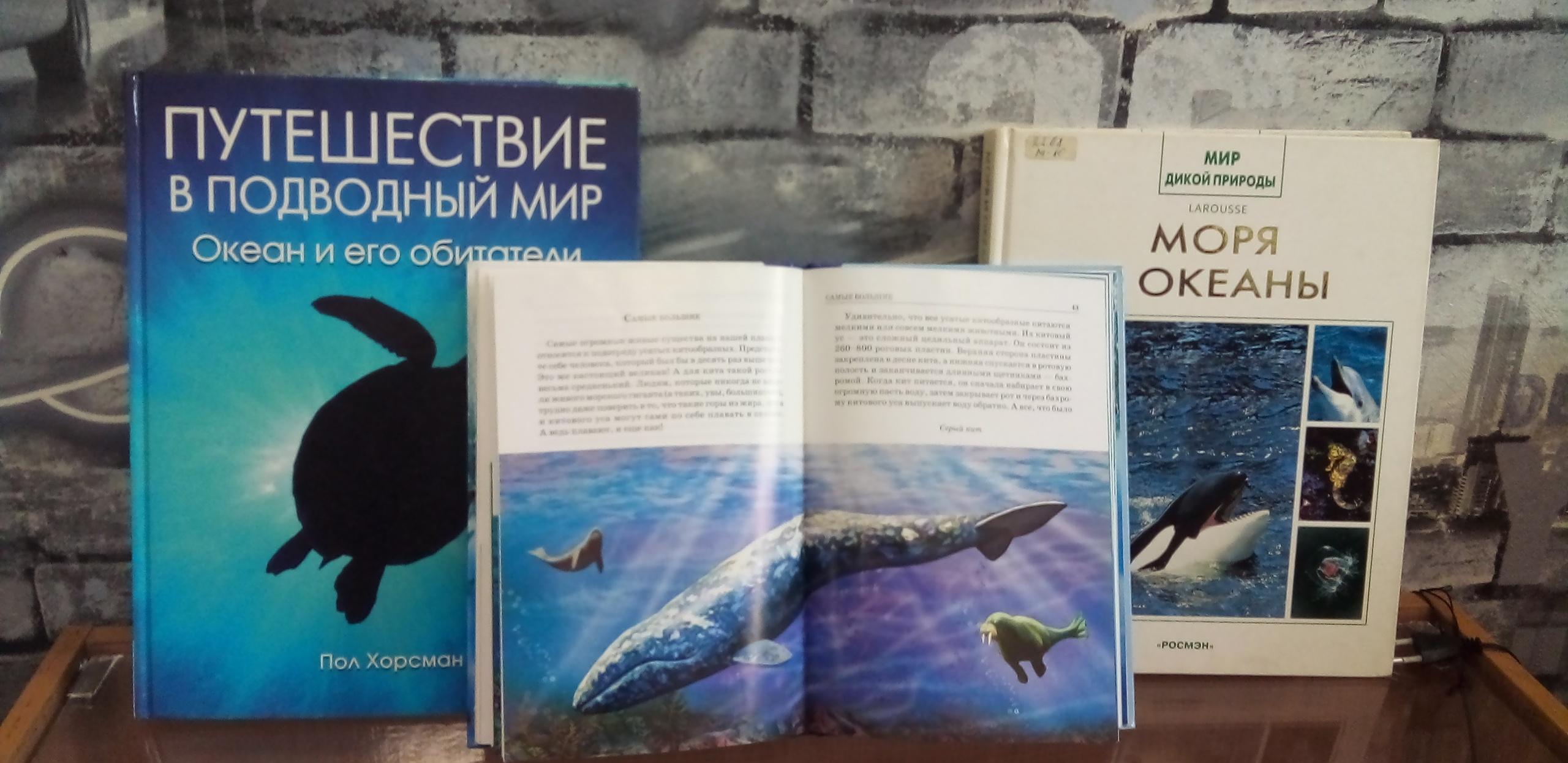 Морской эко-калейдоскоп «О дельфинах и китах мы расскажем вам сейчас»