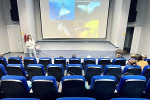 Игра «Где логика?»