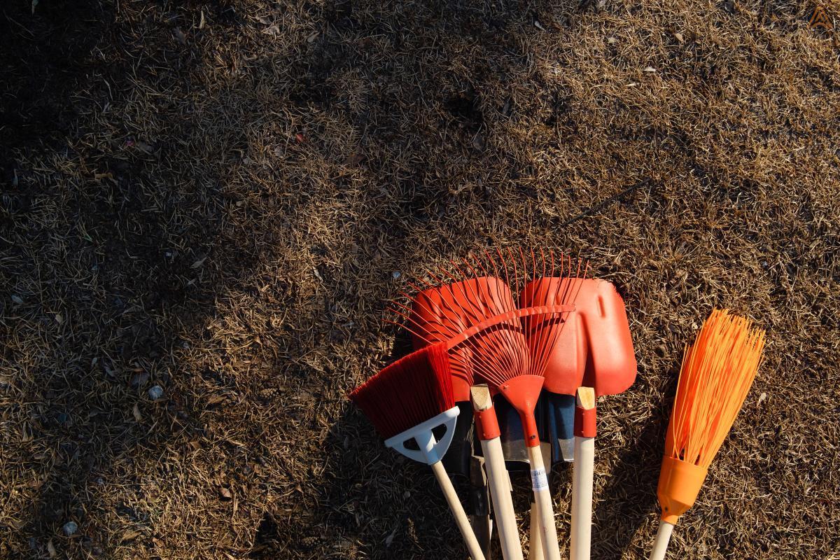 Экологическая акция «День чистоты»