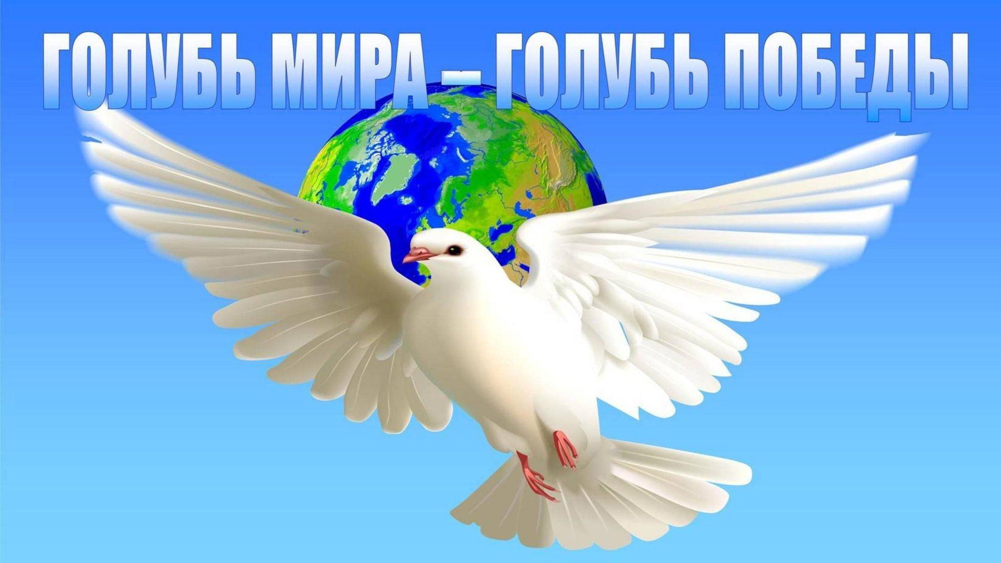 Голубь Мира — Голубь Победы.