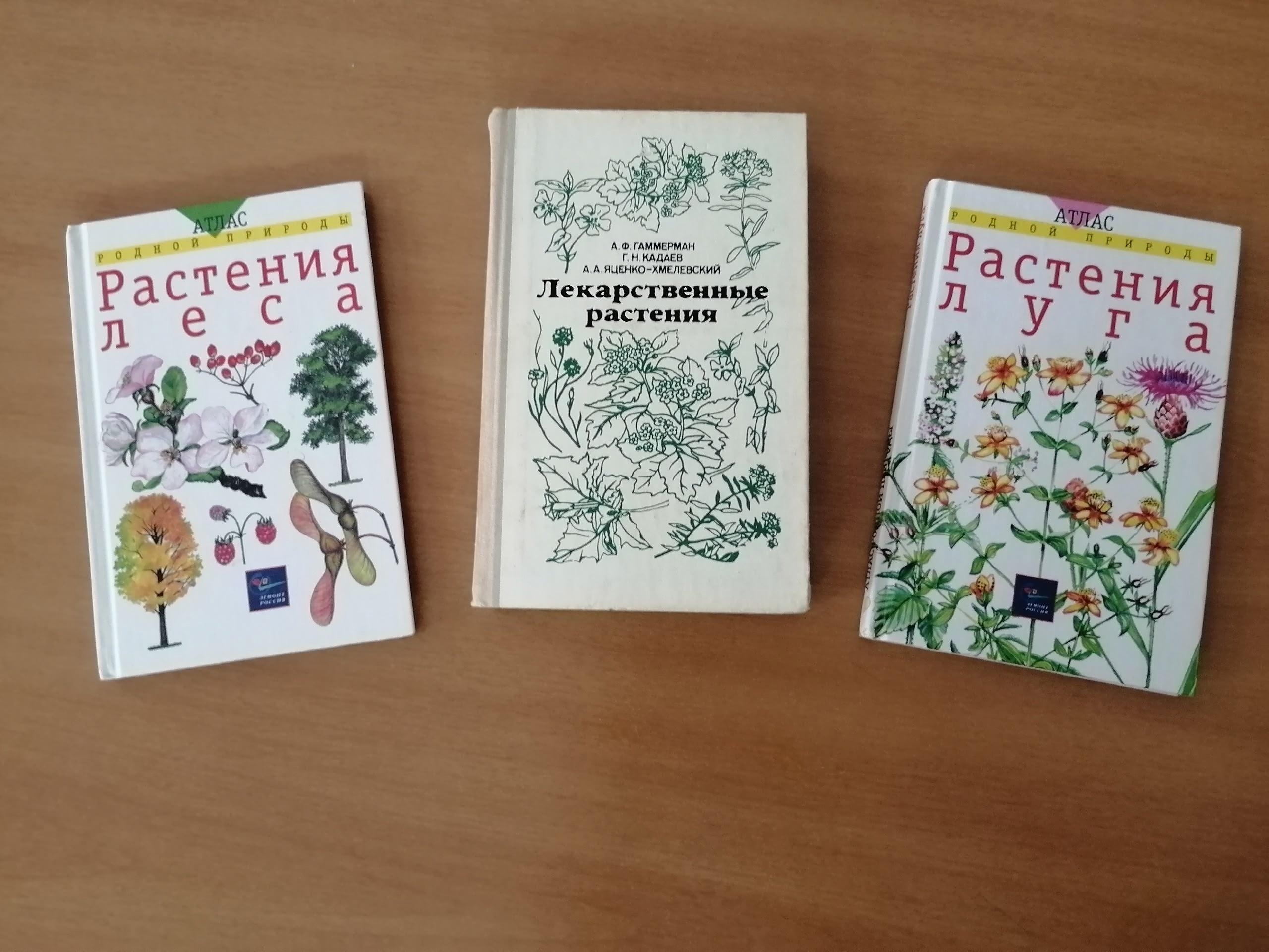 «Лекарственные растения родного края».