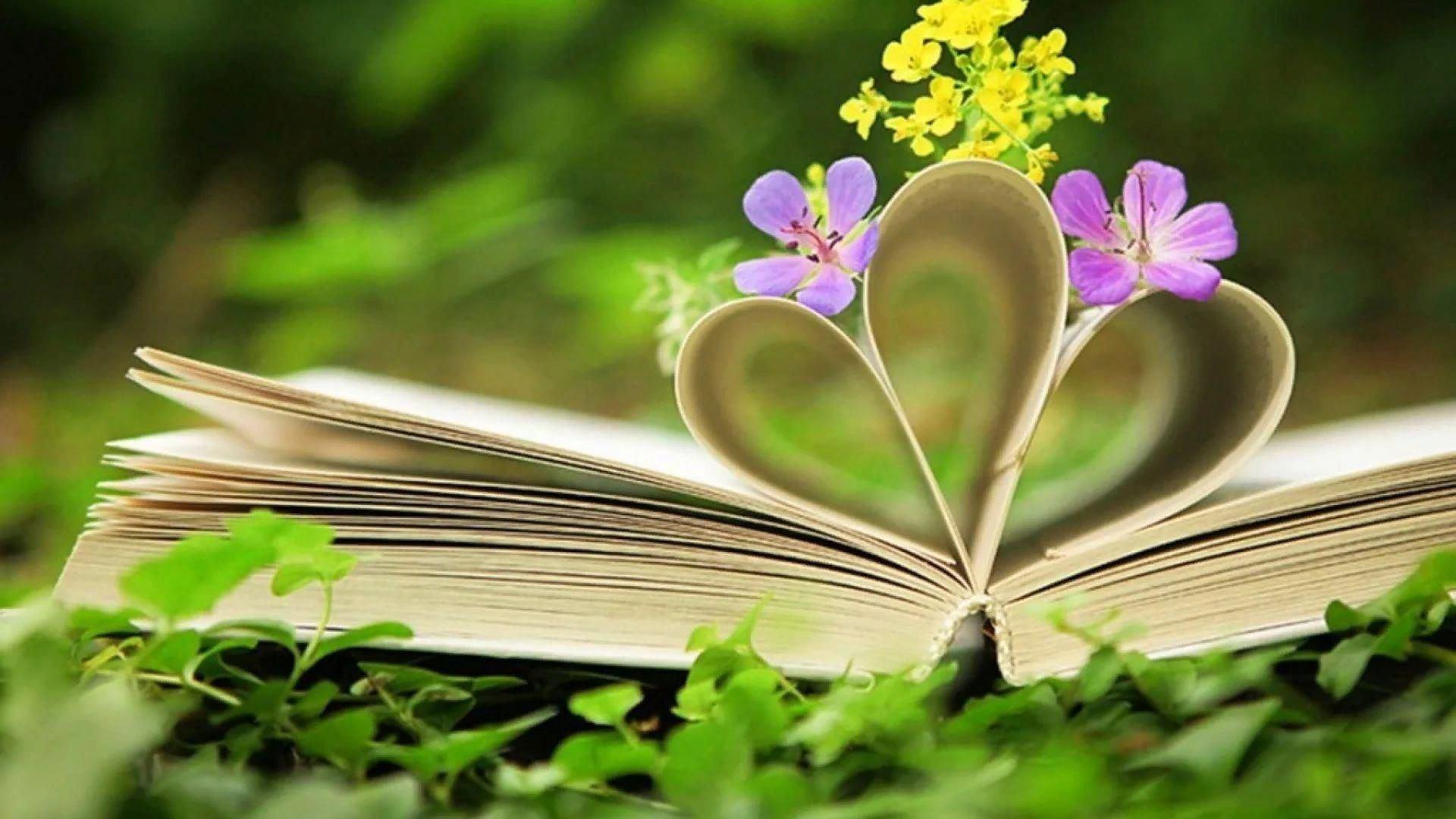 Игра «Книга, молодежь»