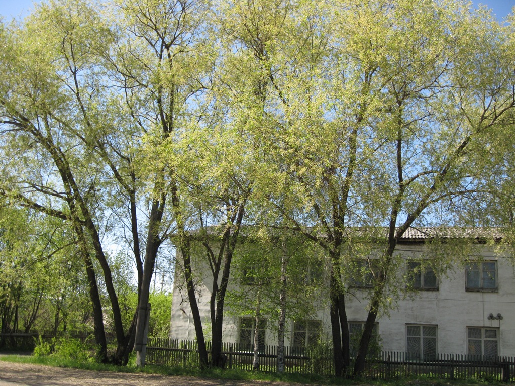 Культуры Улица Фото