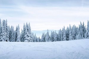 Программа «Зимняя мелодия»