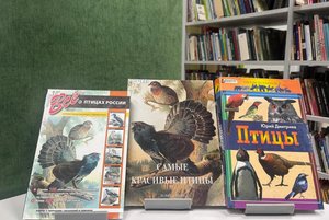 Книжная выставка «Покормите птиц зимой!»