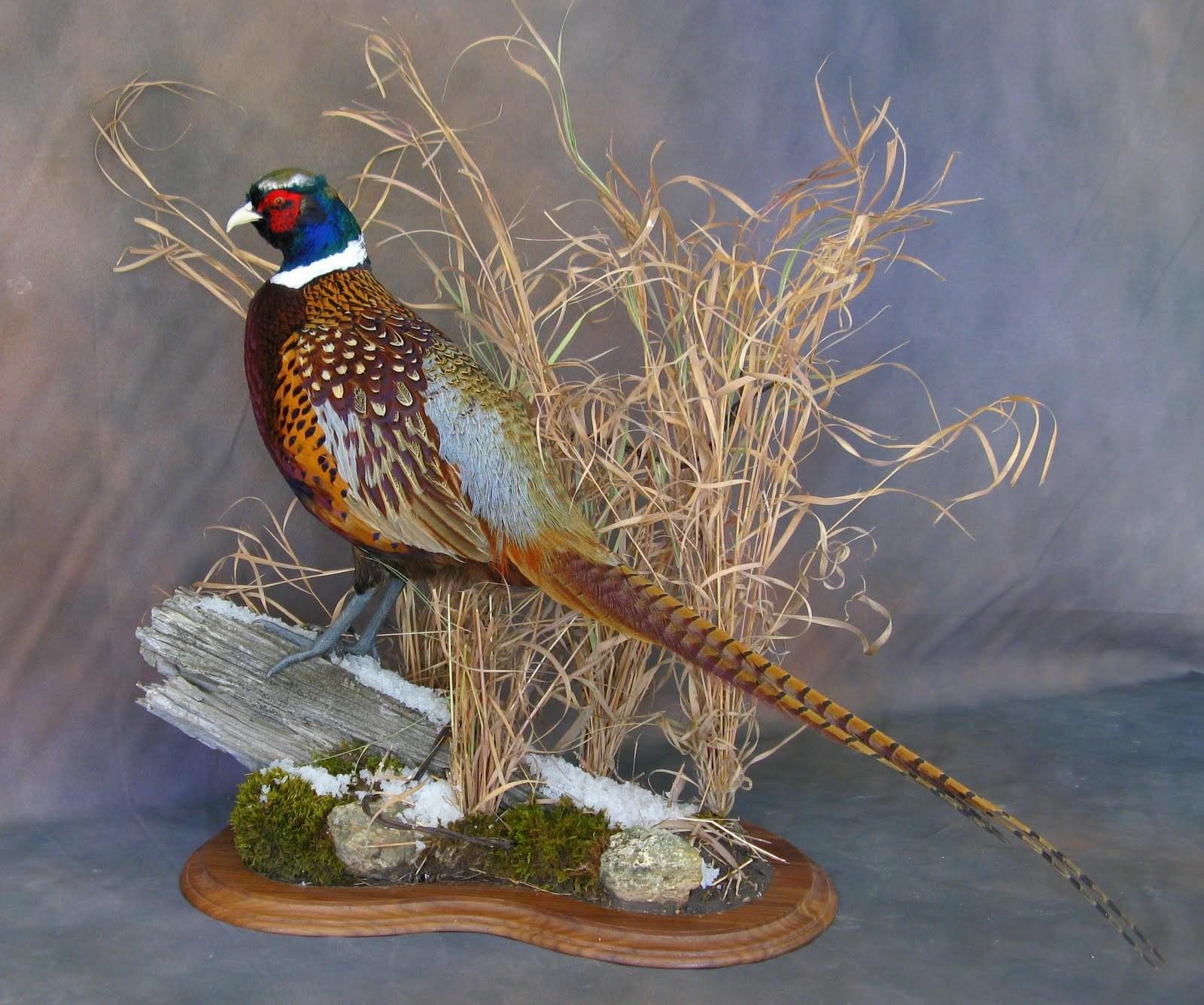 Вечер «Родники народных талантов»