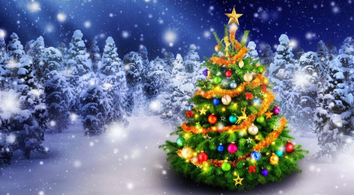 Познавательно-игровая программа << В лесу родилась ёлочка >>.