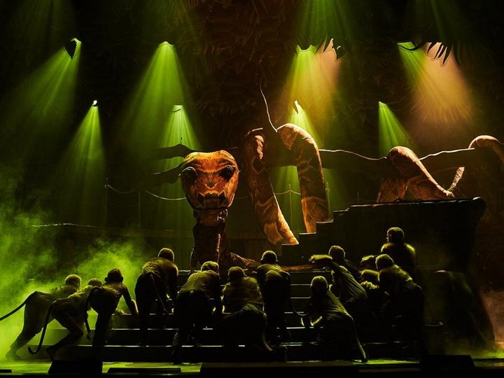 маугли спектакль. маугли тюз екатеринбург. тульский театр тюз спектакль маугли. московский тюз маугли. маугли тюз екатеринбург.