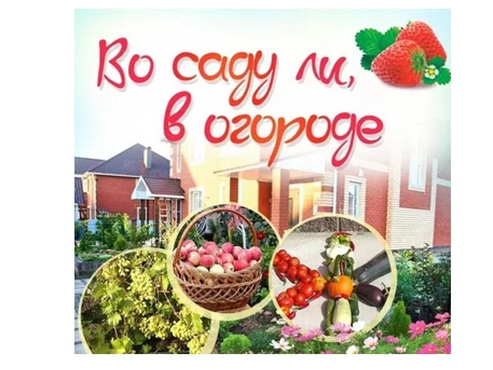 «Мой любимый огород» - здоровье и доход»