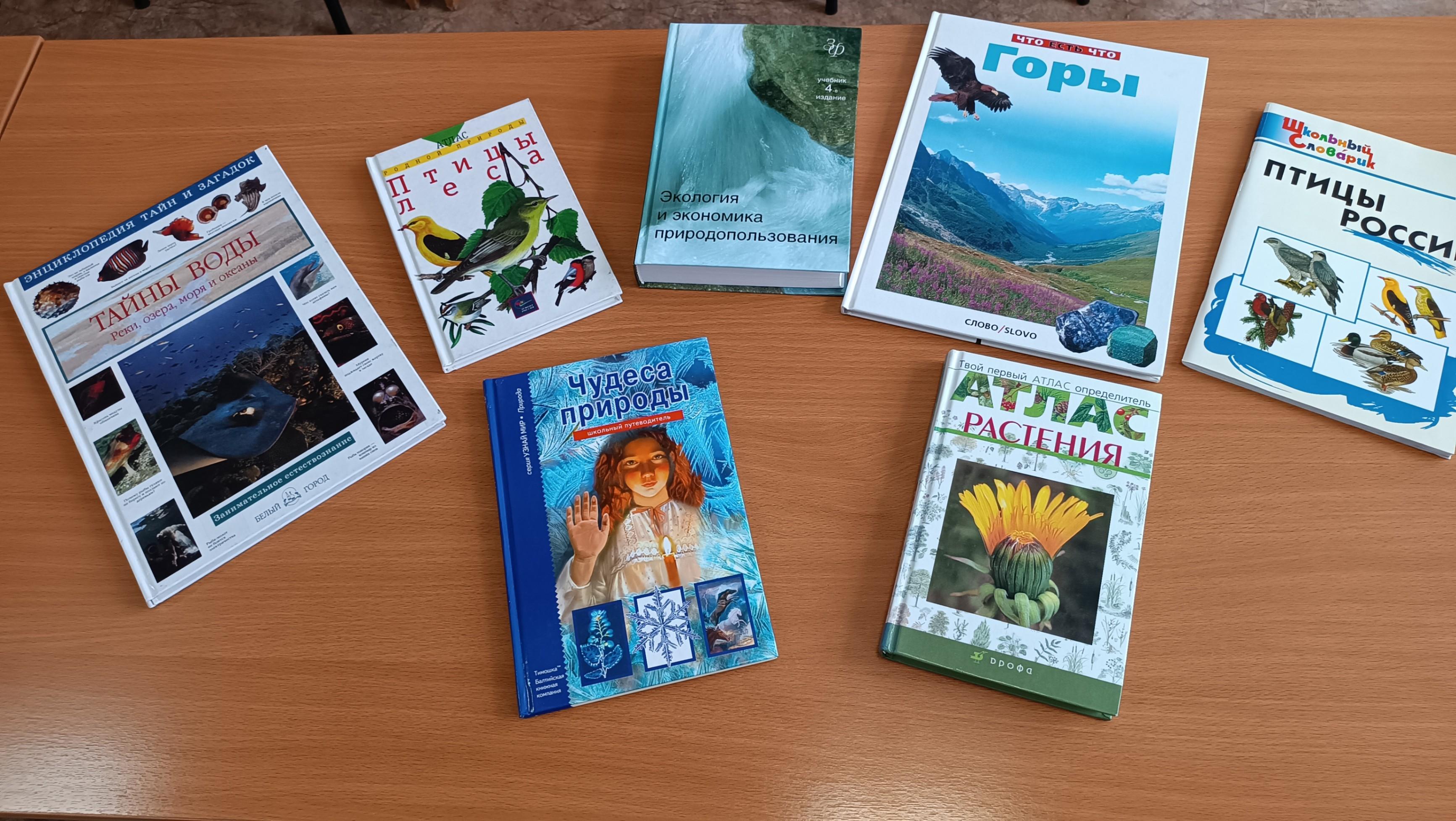 Экологическая беседа«Береги родную природу»