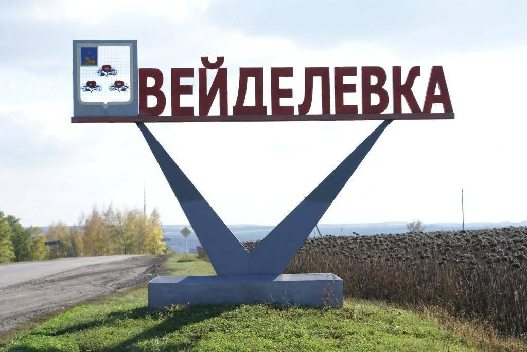 Игра «Вейделевка – мой край родной»