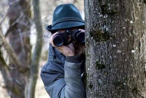 Программа «Академия шпионов»